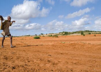 Strengthening climate resilience through new strategic partnership in Madagascar – Red Cross Red Crescent Climate Centre