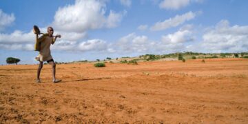 Strengthening climate resilience through new strategic partnership in Madagascar – Red Cross Red Crescent Climate Centre