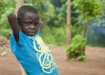 Guinea eliminates human African trypanosomiasis as a public health problem – World Health Organization (WHO)