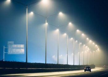 LED Street Lights Killing Seabirds on Cape Verde – Rare Bird Alert