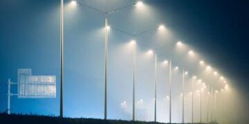 LED Street Lights Killing Seabirds on Cape Verde – Rare Bird Alert