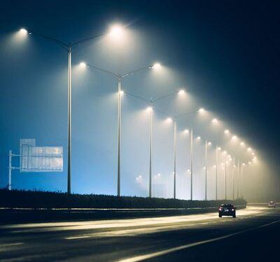 LED Street Lights Killing Seabirds on Cape Verde – Rare Bird Alert