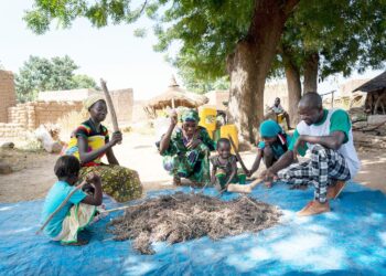 Spotlight Burkina Faso, Mali, Niger Inside the Trump administration’s Sahelian diplomacy – Africa Intelligence