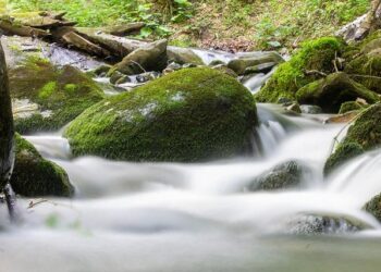 Kosovo Faces Deepening Political Crisis After 21 Failed Attempts To Elect Speaker – Radio Free Europe/Radio Liberty