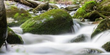 Kosovo Faces Deepening Political Crisis After 21 Failed Attempts To Elect Speaker – Radio Free Europe/Radio Liberty