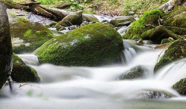 Kosovo Faces Deepening Political Crisis After 21 Failed Attempts To Elect Speaker – Radio Free Europe/Radio Liberty