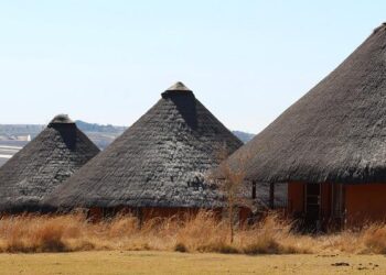 African U18/U20 Tourney: Nigeria eyes dominance with 110-athlete squad – The Guardian Nigeria News