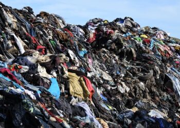 Discarded U.K. Clothing Dumped in Protected Wetlands in Ghana – Yale e360