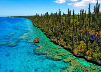 New Caledonia Congress president Roch Wamytan replaced in vote – Reuters