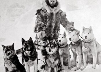 From Togo to the Task Force: SETAF-AF Soldier connects heritage with mission at African Lion 2025 – army.mil