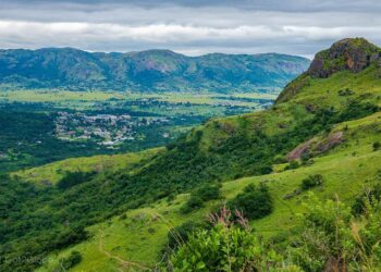 Eswatini Steps Report 2024 – ReliefWeb