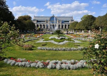 Flora / Illegal logging cuts deep into The Gambia’s ecology and economy – ENACT Africa