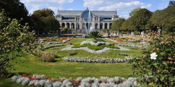 Flora / Illegal logging cuts deep into The Gambia’s ecology and economy – ENACT Africa