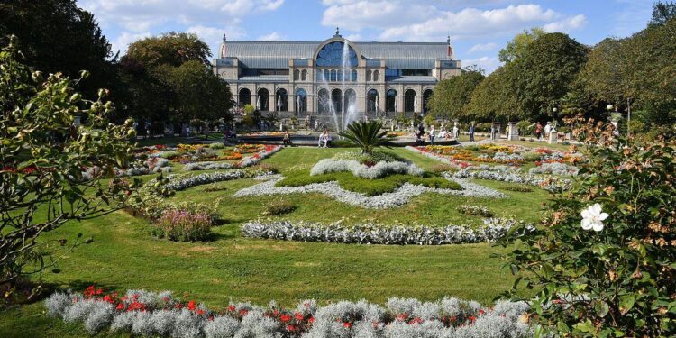 Flora / Illegal logging cuts deep into The Gambia’s ecology and economy – ENACT Africa