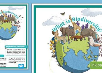 Protecting biodiversity in Comoros – United Nations Development Programme