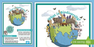 Protecting biodiversity in Comoros – United Nations Development Programme