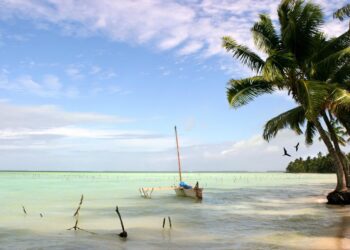 Kiribati: How dedicated women support healthcare on the islands – MSF Australia