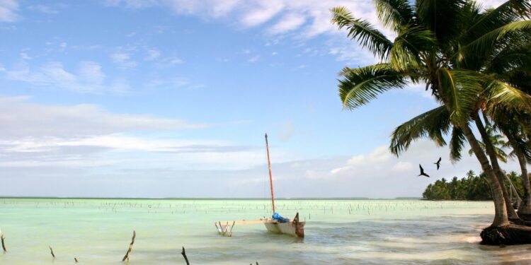 Kiribati: How dedicated women support healthcare on the islands – MSF Australia
