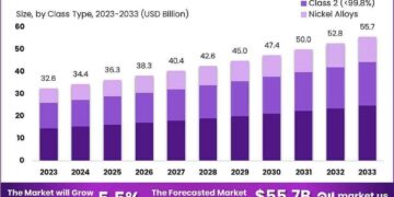 UK’s Nickel Market to Experience Slight Growth with +1.0% CAGR over Next Decade – IndexBox