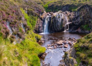 Scotland’s best and worst holiday parks in 2025 revealed – Glasgow Live