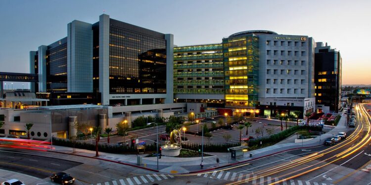 Cedars-Sinai Launches Venture Fund in the Netherlands – Cedars-Sinai