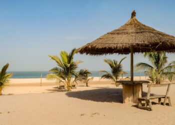 Gambia: why “Jungler” Bora Colley turned himself in after eight years – JusticeInfo.net