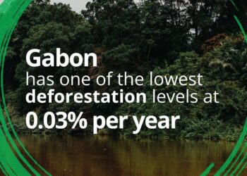 Gabon Economic Update 2025: Developing and Preserving Gabon’s Wealth to Improve Living Standards – World Bank