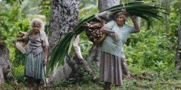 22 years after RAMSI, Solomon Islands social, political fractures persist – The Strategist | ASPI’s analysis and commentary site