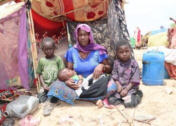 Sudan: UN Human Rights Chief deplores killing of dozens of civilians in Kordofan – ohchr