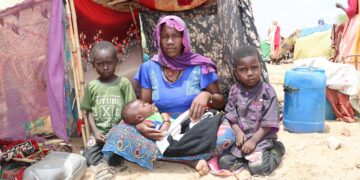 Sudan: UN Human Rights Chief deplores killing of dozens of civilians in Kordofan – ohchr
