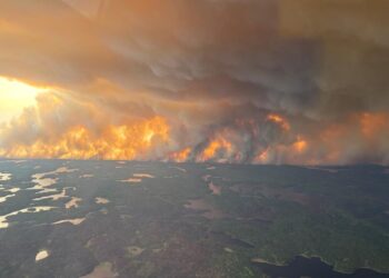 Canada wildfires burn area the size of Croatia – Caledonian Record