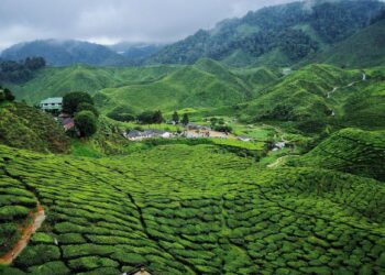 Cameroon’s president seeks to remain in power until almost his 100th birthday – CNN