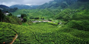 Cameroon’s president seeks to remain in power until almost his 100th birthday – CNN