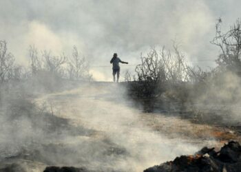 Two Dead as Massive Wildfire Rages in Cyprus – GreekReporter.com