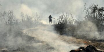 Two Dead as Massive Wildfire Rages in Cyprus – GreekReporter.com