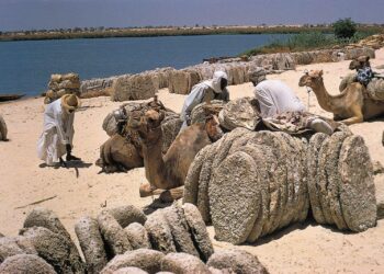 Lake Chad’s Water, Wetlands, and Dunes – NASA Earth Observatory (.gov)