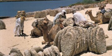 Lake Chad’s Water, Wetlands, and Dunes – NASA Earth Observatory (.gov)