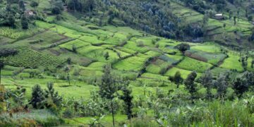 GIEWS Country Brief: Burundi 2-July-2025 – ReliefWeb