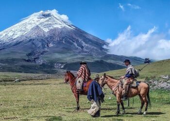 American brand Cotopaxi launches in Portugal – FashionNetwork USA