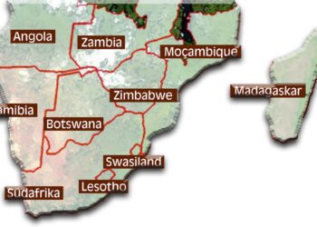 Zimbabwe issues permits for cull of at least 50 elephants – Reuters