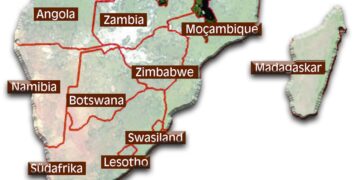 Zimbabwe issues permits for cull of at least 50 elephants – Reuters