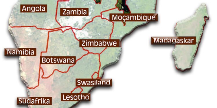 Zimbabwe issues permits for cull of at least 50 elephants – Reuters