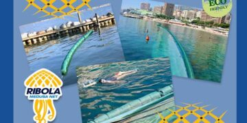 Jellyfish nets removed for repairs in Eastern Beach and Catalan Bay – Sur in English