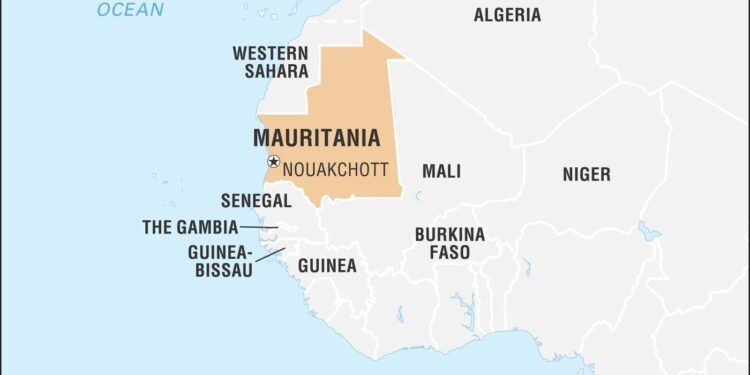 Revamped investment code positions Mauritania for growth – African Business