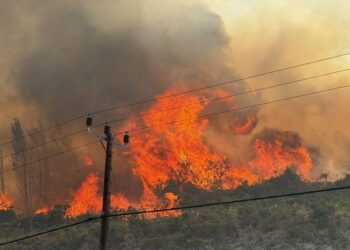 Cyprus Fires Cost 20 Million Euros in Losses in Limassol Area – The National Herald