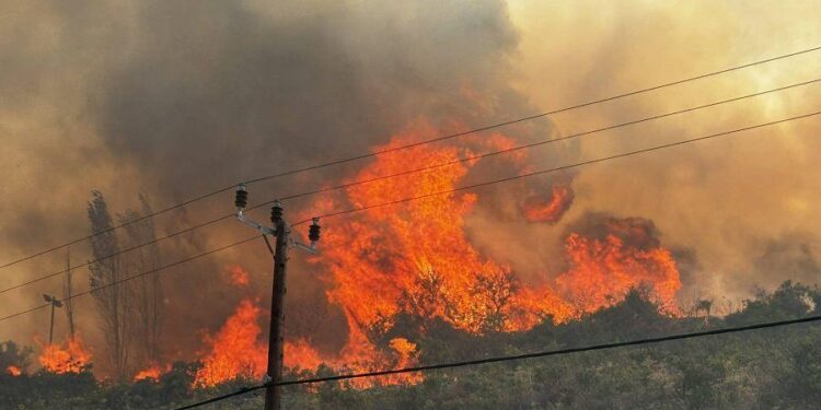 Cyprus Fires Cost 20 Million Euros in Losses in Limassol Area – The National Herald