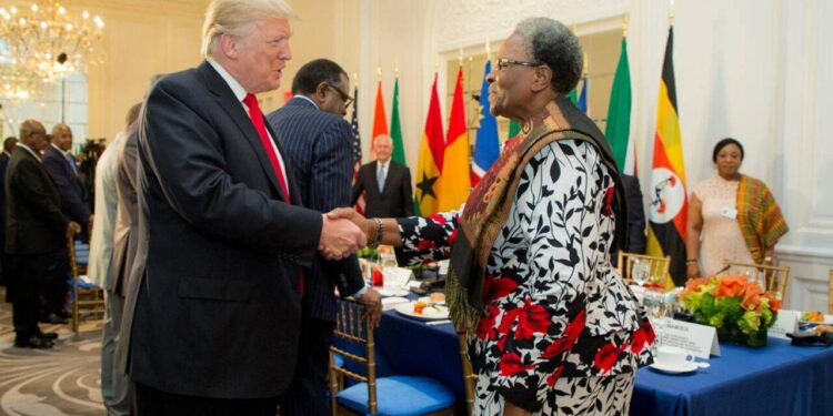 Trump’s African Gambit: Valuable Land, Great Minerals, Great Oil Deposits – orfonline.org