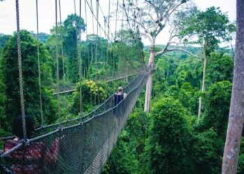 Ghana vs South Africa highlights: Ghana beat South Africa for penalties to win Wafcon 2024 third place – BBC