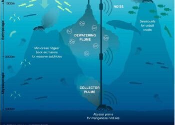 Activists Release Petition Opposing Deep Seabed Mining Off American Samoa – DeeperBlue.com