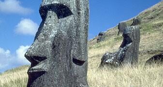 Daily briefing: No, Rapa Nui people didn’t destroy their island – Nature